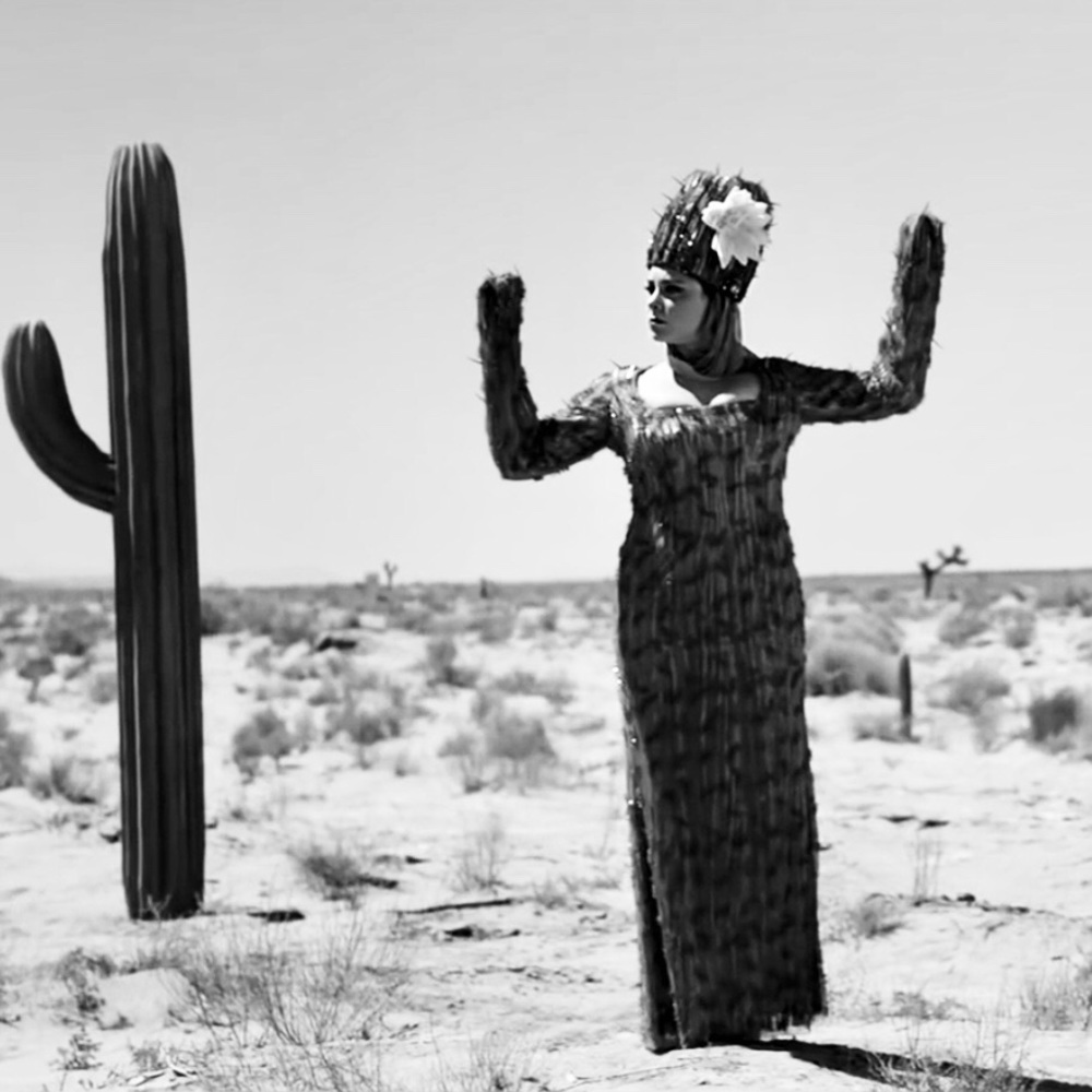 Sexy Fashion Cactus.